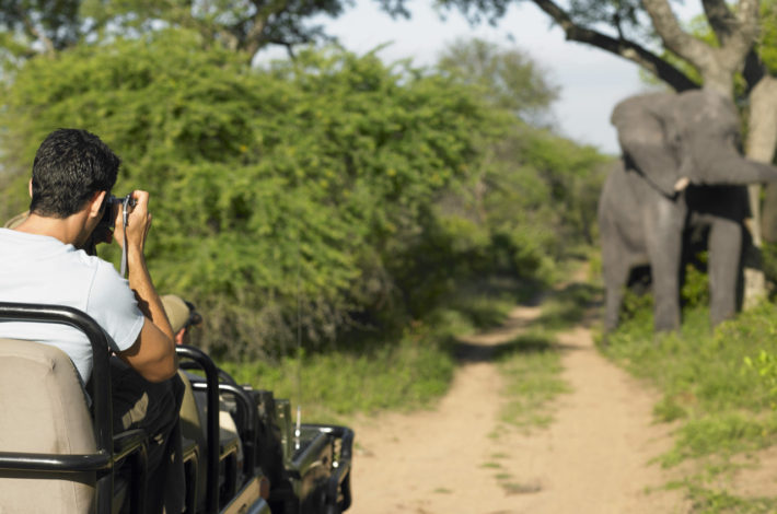Man-on-safari-taking-photograph-of-elephant-back-view